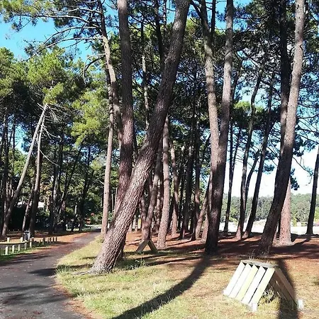 别墅 Hautes Rives Avec Piscine Vue Pour 12 Personnes 比斯卡罗斯